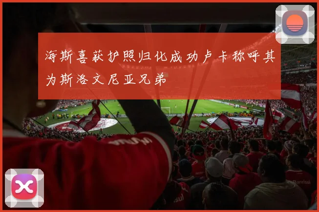 海斯喜获护照归化成功卢卡称呼其为斯洛文尼亚兄弟
