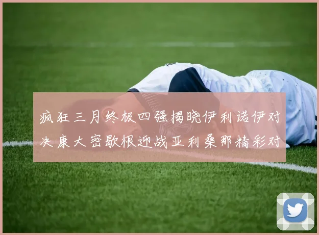 疯狂三月终极四强揭晓伊利诺伊对决康大密歇根迎战亚利桑那精彩对决即将上演